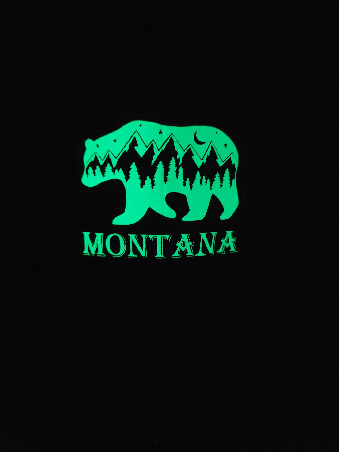 Glow in the Dark Montana Bear Richardson 112 Trucker Hat